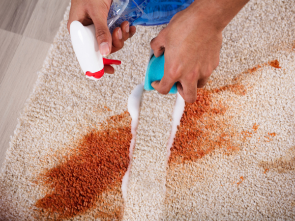 Limpeza de Tapete Profissional: Método a Seco e Remoção de Manchas por R$ 120,00