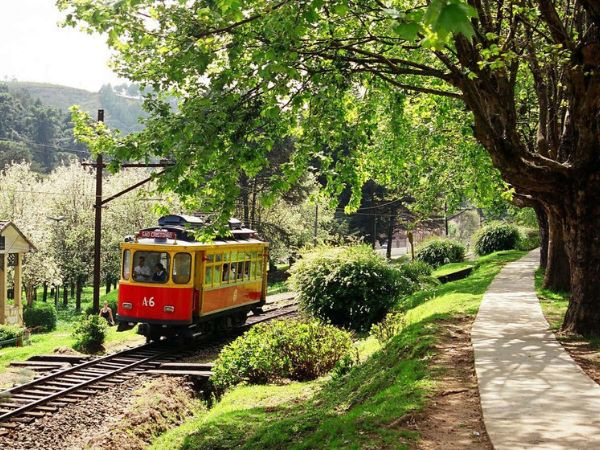 Descubra a Suíça Brasileira: Um dia em Campos do Jordão